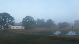 Another Foggy Morning Here At Venus Ranch