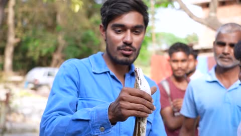 Saving a Python Snake- अगर इस अजगर ने काटा तो छुड़ाना नामुमकिन है😱 | Biggest Snake