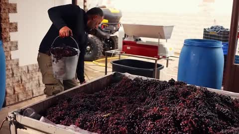 I love watching you guys make your own wine, I bet it will be good