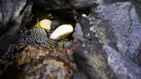 Waterfall And Rocks Stones