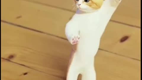 Funny Cat Dance 🤣🤣🤣🤣