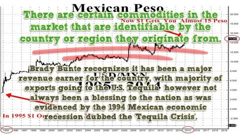 2014 Peso Devaluation Vs Tequila Market By Brady Bunte