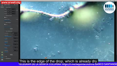 Morgellon-like structures that "feed" on crystals found in covid vaccines