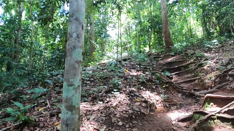 Hiking In Chiang Mai Thailand pt. 3