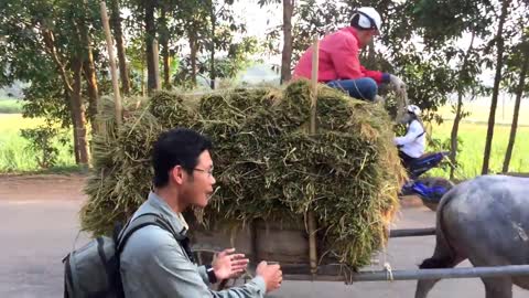 Northern Vietnam Countryside Road