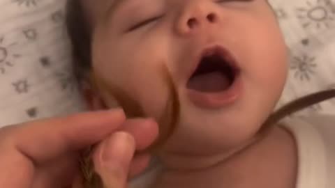 satisfying baby video