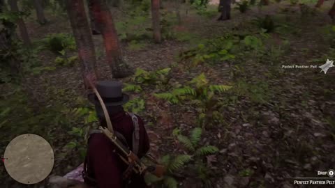 Red Dead Redemption - Panther Hunt (Bow)