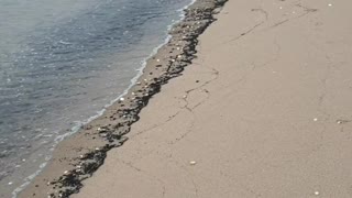 Burntisland beach during first lockdown in 2020