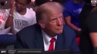 Trump Gets Standing Ovation And Let's Go Brandon Chants At UFC 287 As His Support SURGES!