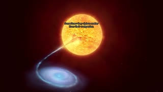 White Dwarf Binaries