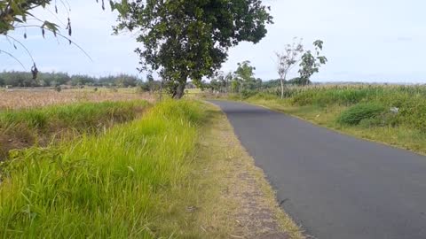 Jalan lintas selatan