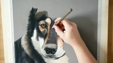 Realistic wolf drawing-animals art colour pastel technique