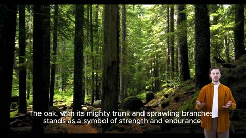 Ancient Guardians: A Poetic Tribute to Forest Trees 🌳🌲 | Nature Poetry & Forest Conservation 🌍✨