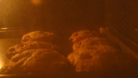Time Lapse of Cookies Baking