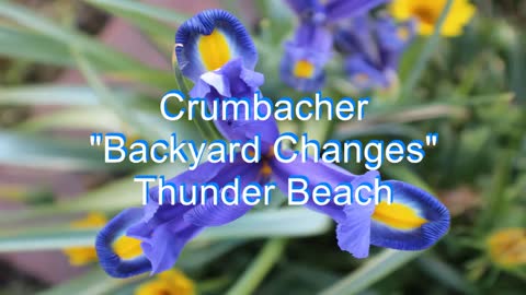 Crumbacher - Bakyard Changes #254