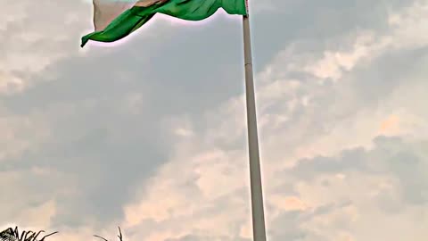 Indian national flag 🍃💫