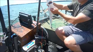 Gloucester Saltwater fishing