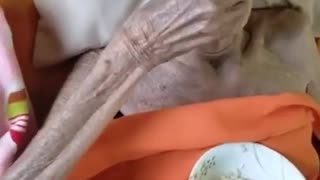 oldest human in the world 399 years old alive viral video // Hottest News