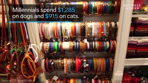 Why Americans Spend So Much Money On Pets