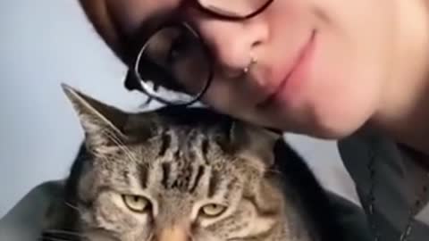 Cute / funny cats videos