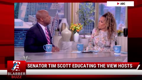 Senator Tim Scott Educating The View Hosts