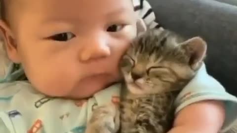 Adorable baby cuddled with cat best friends