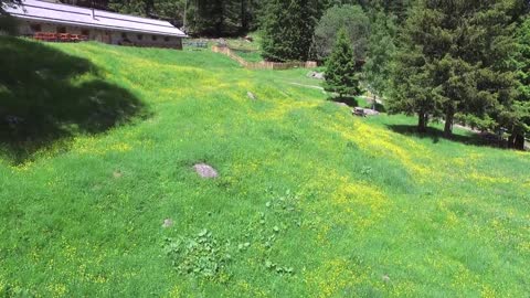 Malga Frattasecca Val di Pejo Trentino