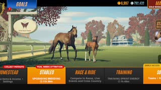 Rival Stars Horse Racing - trying to breed a better grade 2 horse