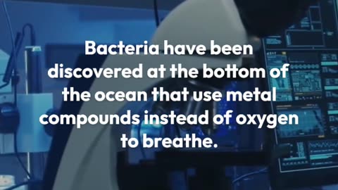 Electron Bacteria