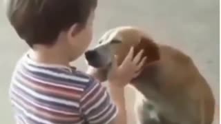 Increíble Como este Niño y este perro se aman