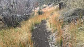 Central Oregon – Steelhead Falls – The Trail Hugs the Canyon Wall