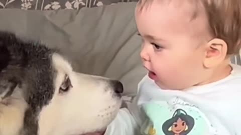Baby Loves Husky Kisses!