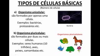 Citologia: Classificação Geral das Células - MinhaEscolaWeb