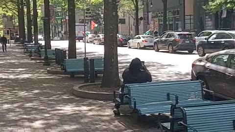 Caravan of Pro-Palestine Protesters in Charlotte, NC