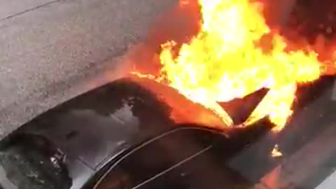 July 7 2017 Germany g20 1.5 'Daddy is that ours' 'No, ours burns down there' video of car burning