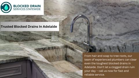 Expert Professionals for Blocked Drains In Adelaide