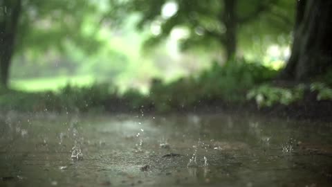 Slow-motion of Rain fall drops in HD 4K