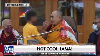 What's the Dalai Lama been up to?