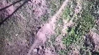 💣 Ukraine Russia War | Ukrainian Drone-Dropped Grenade Hits Group of Russians (September 2023) | RCF