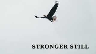 Pray USA 10/26/22 Stronger Still