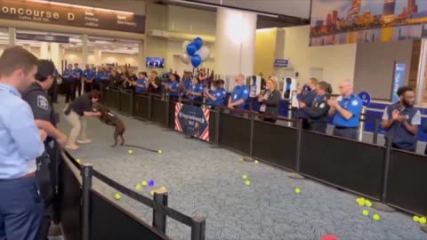 Watch as K-9 dog Rex was sent into retirement with a tennis ball surprise
