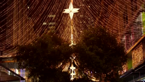 Sydney lights up in Christmas splendour