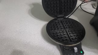 TASTY Carnivore waffles. Carniwaffles. Keto. 0 carbs and 3 ingredients. EASY!