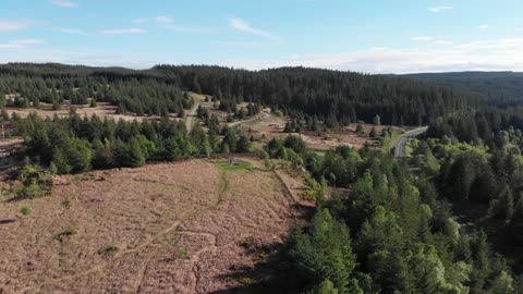 Drone Footage Over Kielder Forest