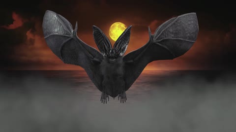 fanny halloween-chauve souris