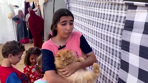 Displaced Palestinians cradle pet cats in camp