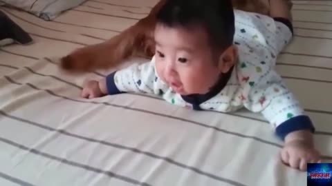 FUNNY BABY VIDEOS try not to laugh baby funny compilation 3