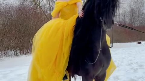 The beauty and friesian stallion. Dress