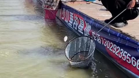 The best Asian fishing