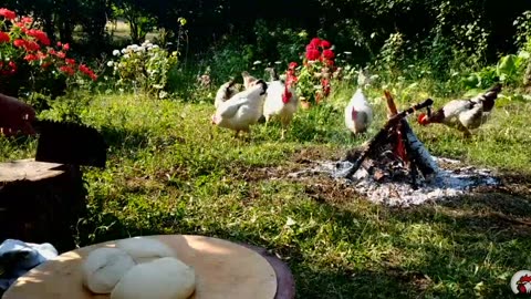 Rural Life - Cooking and Food in Nature (Part 4)